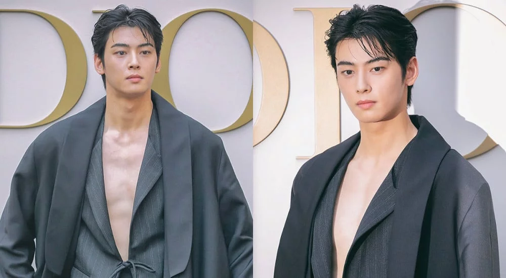 cha eun woo