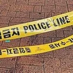 stabbing south korea