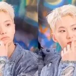 Seventeen's Hoshi