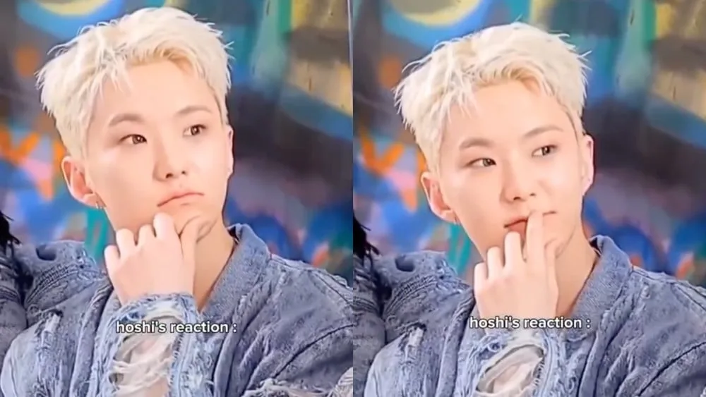 Seventeen's Hoshi