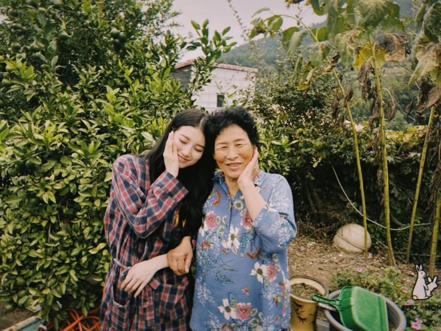 suzy bae
