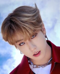 han stray kids